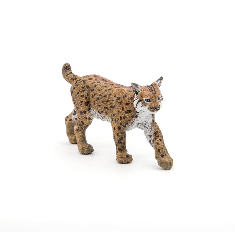 Figura Papo Wild Animal Kingdom Lynx 50241 Para... image number null