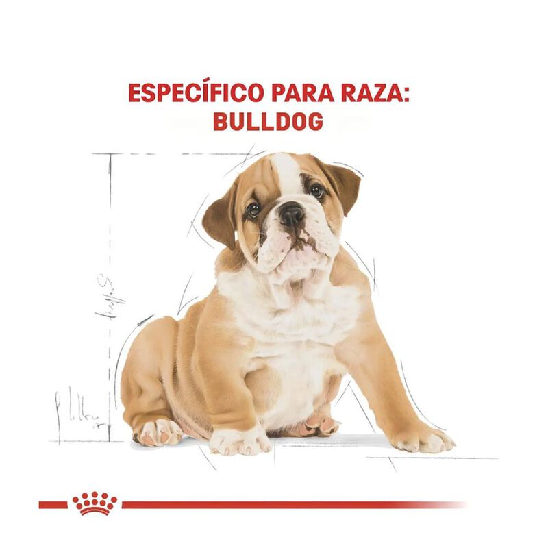 Royal Canin Bhn Bulldog Puppy 13.6 Kg Original ... image number null