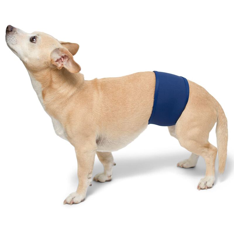 Banda Abdominal Para Perros Playapup Talla Gran... image number null