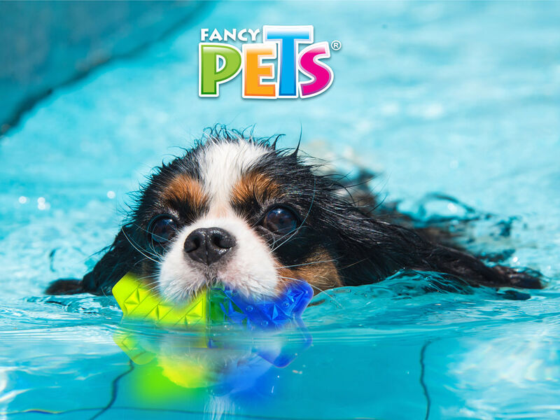 Fancy Pets Cool Juguete en Forma de Hueso Conge... image number null