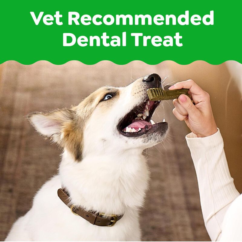 Greenies Original Dental Treats, Golosinas De C... image number null