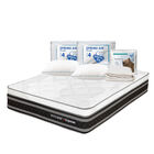 Colch&oacute;n Queen Size Ergosum + 2 Almohadas  de Osos + Protector Ultra