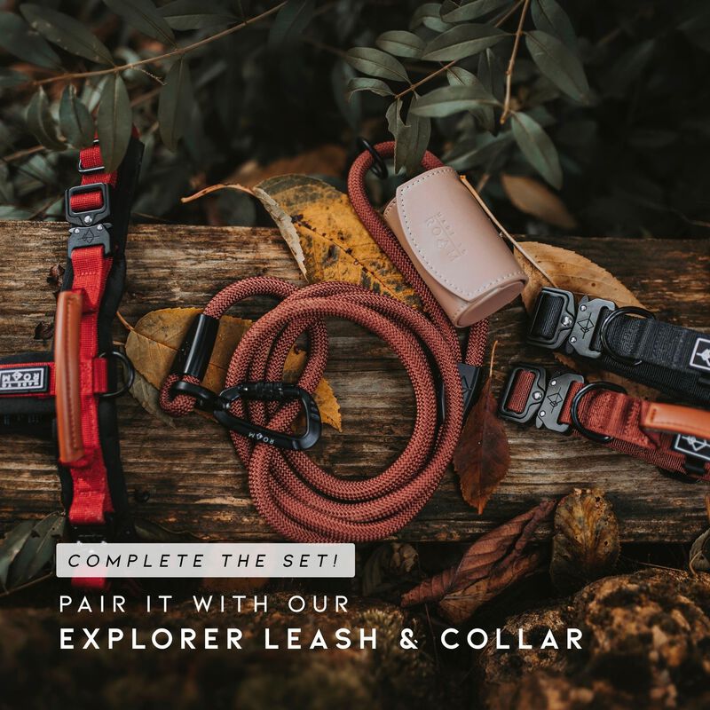 Arn&eacute;s Para Perro Made To Roam Explorer Talla 4 ... image number null