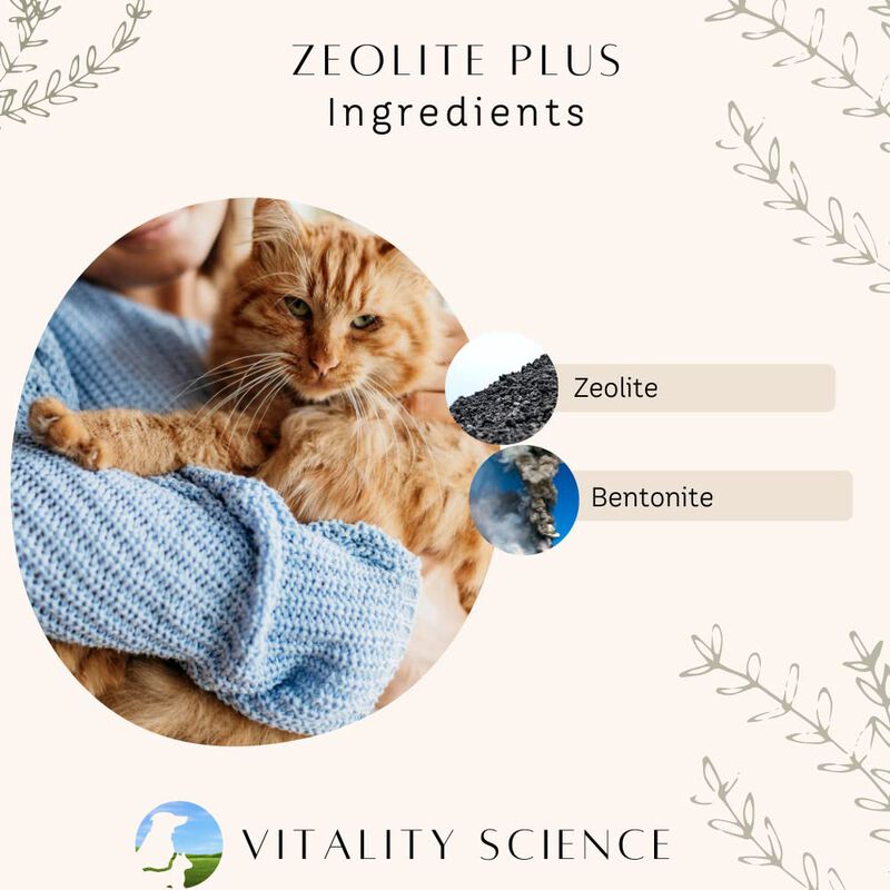 Suplemento Para Perros Vitality Science 1,8 kg ... image number null