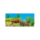 Respaldo Doble Para Acuario Vista Bosques Acuaticos 60 Cm