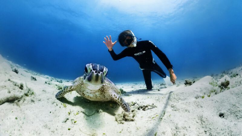 Funda De Buceo Insta360 X3 Invisible, Impermeab... image number null