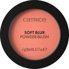 Polvo De Rubor Catrice Cosmetics 5 g Lychee Lush