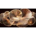 Cuadro Decorativo Abstracto 40x60cm Nebulosa de Cristal