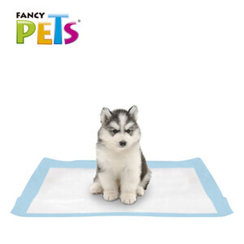 Fancy Pets Soft Pad Tapete Entrenador para Perr... image number null