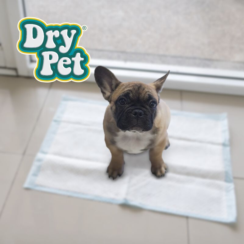 Dry Pet Tapete Entrenador para Perro de 7 Pieza... image number null