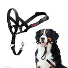Collar De Cabeza Para Perro Halti, Antitirones, Ajustable, Reflectante, Tama&ntilde;o 4