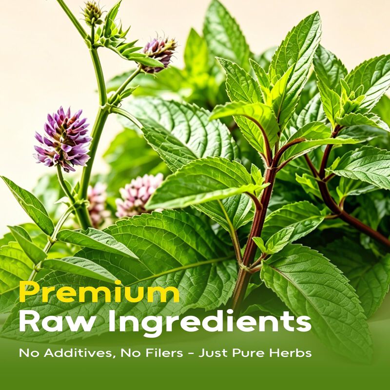 T&eacute; Fullchea De Regaliz Y Menta - 40 Sobres - 12... image number null