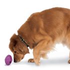 Dispensador De Juguetes Para Perros Petsafe Busy Buddy Twist 'n Treat, Grande