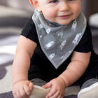 Set De Baberos Bandana  Apollo