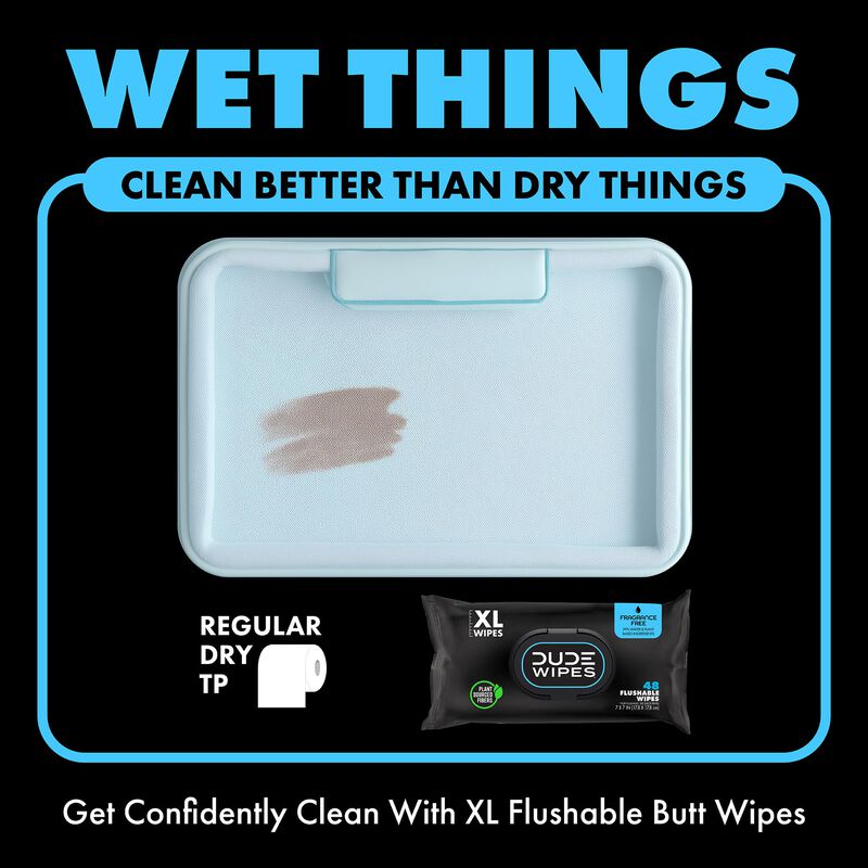 Baby Wipes Dude Flushable, Sin Perfume, Paquete... image number null