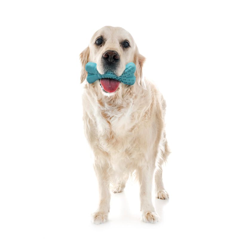 Juguete De Masticar Para Perros Senior Playolog... image number null