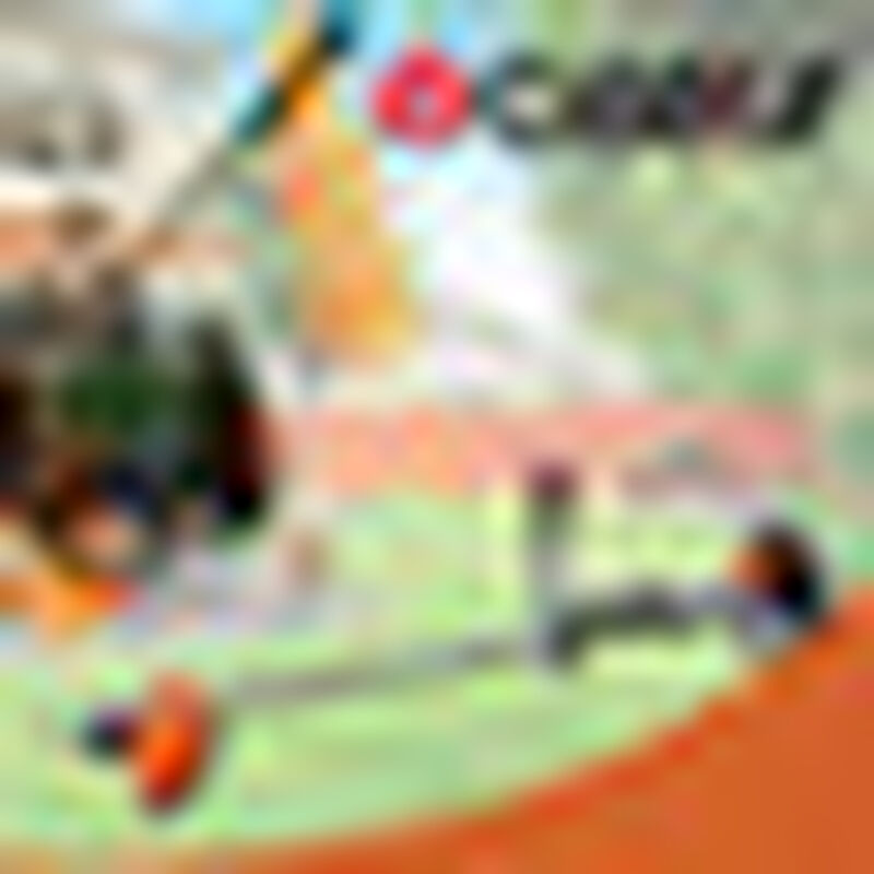 Desbrozadora a Gasolina Motor Osaka 2 tiempos image number null