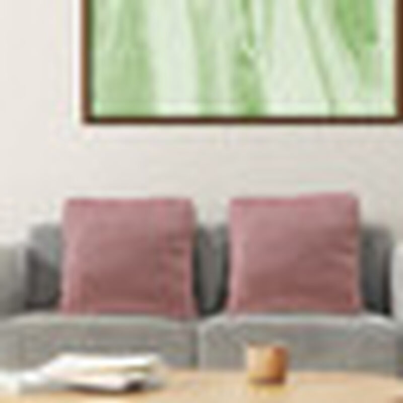 Set de 2 Cojines Dicasa ZitaOne Rosa Palo image number null