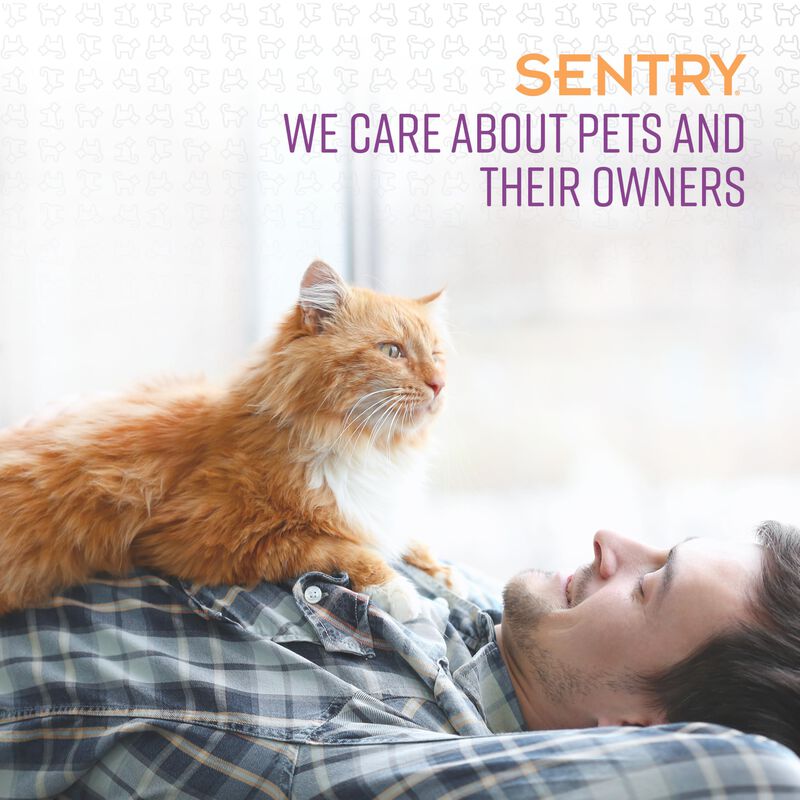 Collar Calmante Para Gatos Sentry Pet Care, 30 ... image number null