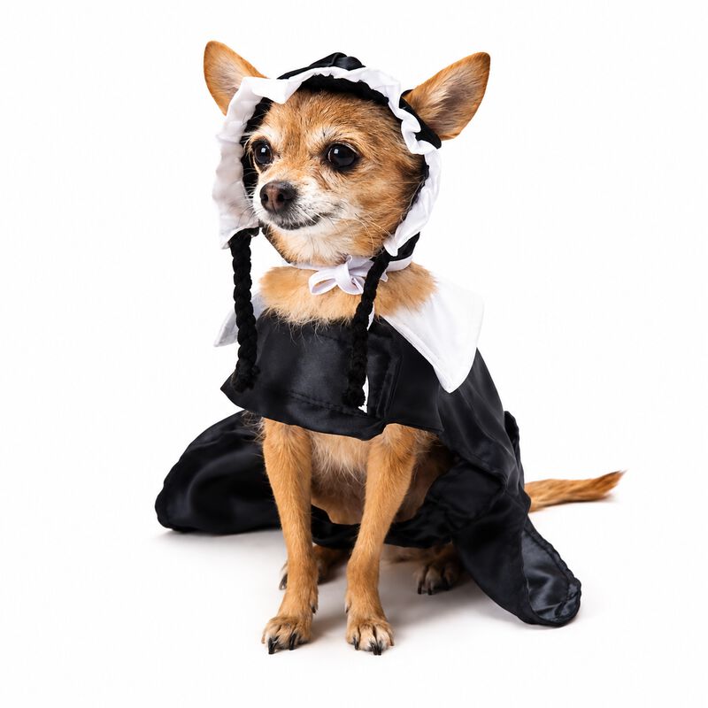 Disfraz Merlina Perro Halloween Talla 3 Mascota... image number null