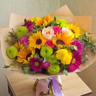 Magical Medley Premium