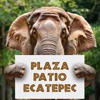 Bioparque + Transporte Incluido EDOMEX Plaza Patrio Ecatepec, domingo 26 de octubre.