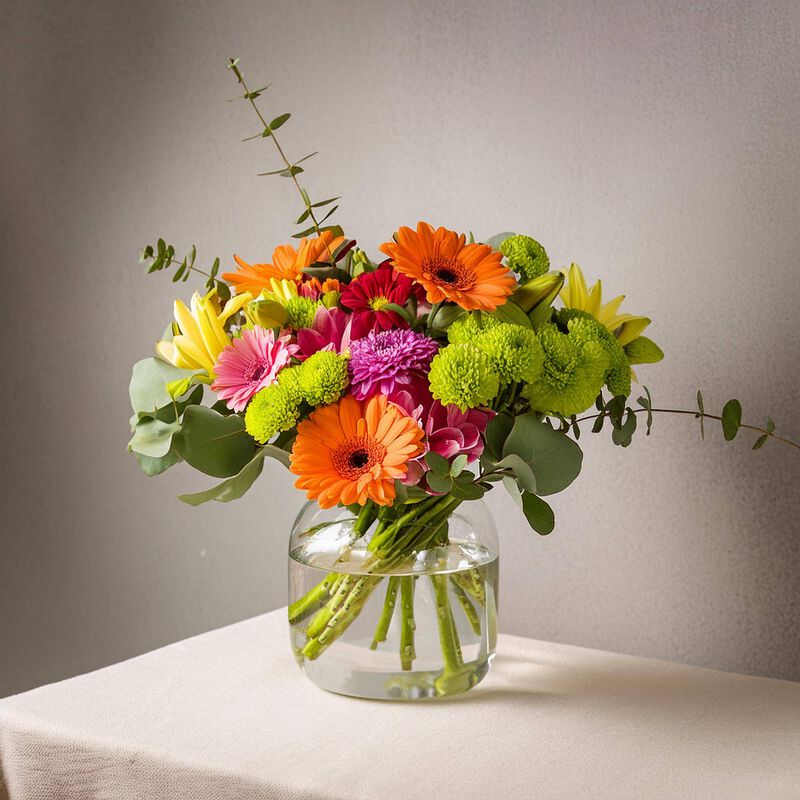 Summer Sun image number null