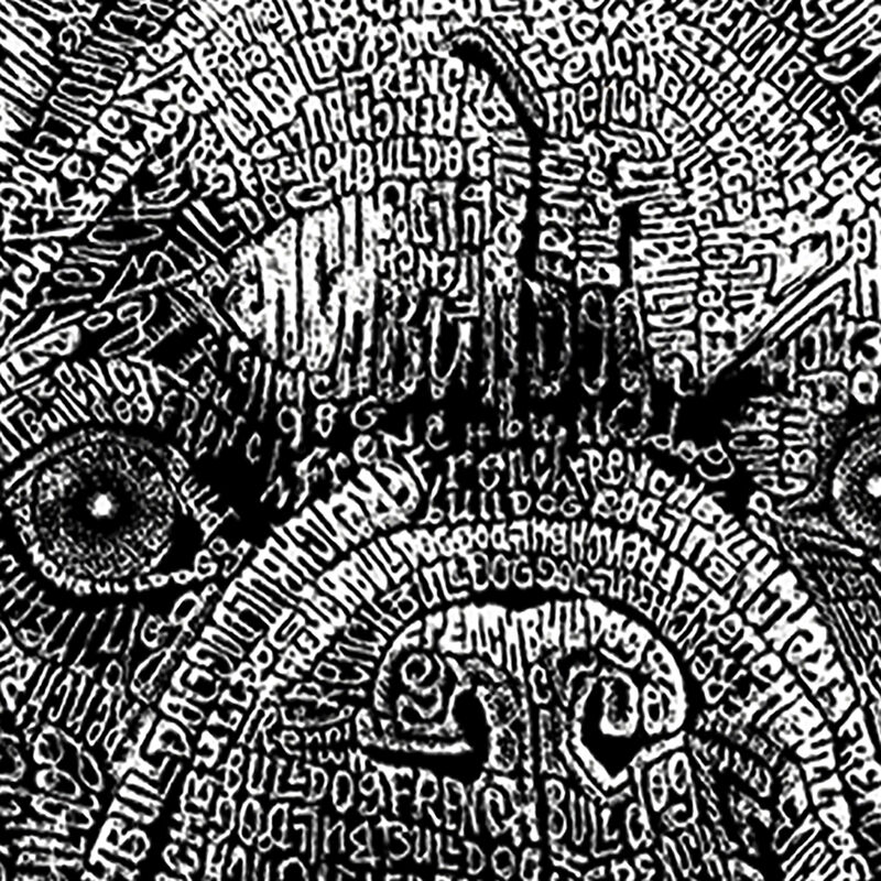 Camiseta Word Art para ni&ntilde;o - Bulldog Franc&eacute;s -... image number null