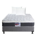 Colchón Matrimonial Spring Air Marte + Box Dicasa Bless Gris + 2 Almohadas Osos + Protector