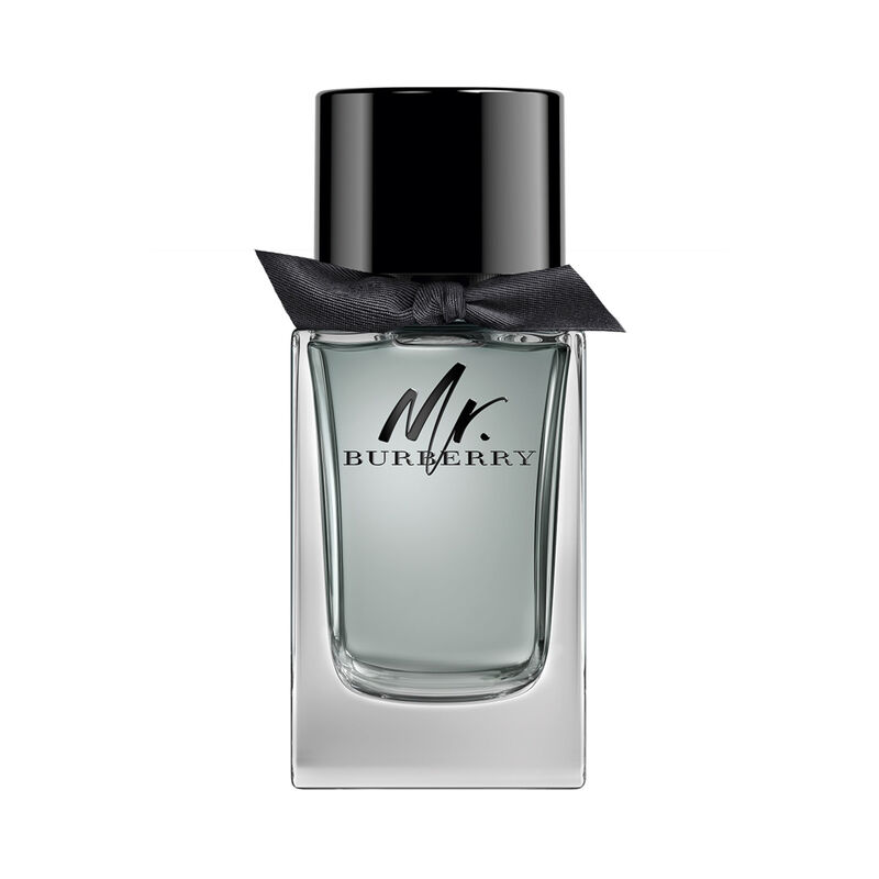 Mr. Burberry Edt 100 Ml Spray image number null