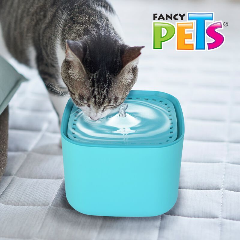 Fancy Pets. Bebedero Autom&aacute;tico para Perros y G... image number null
