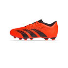 Zapatos de F&uacute;tbol Adidas Predator Accuracy.4 FxG J HQ0951