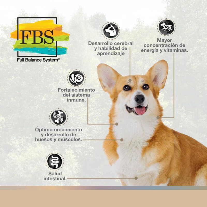 FullTrust Cachorro Razas Peque&ntilde;as 8 kg image number null