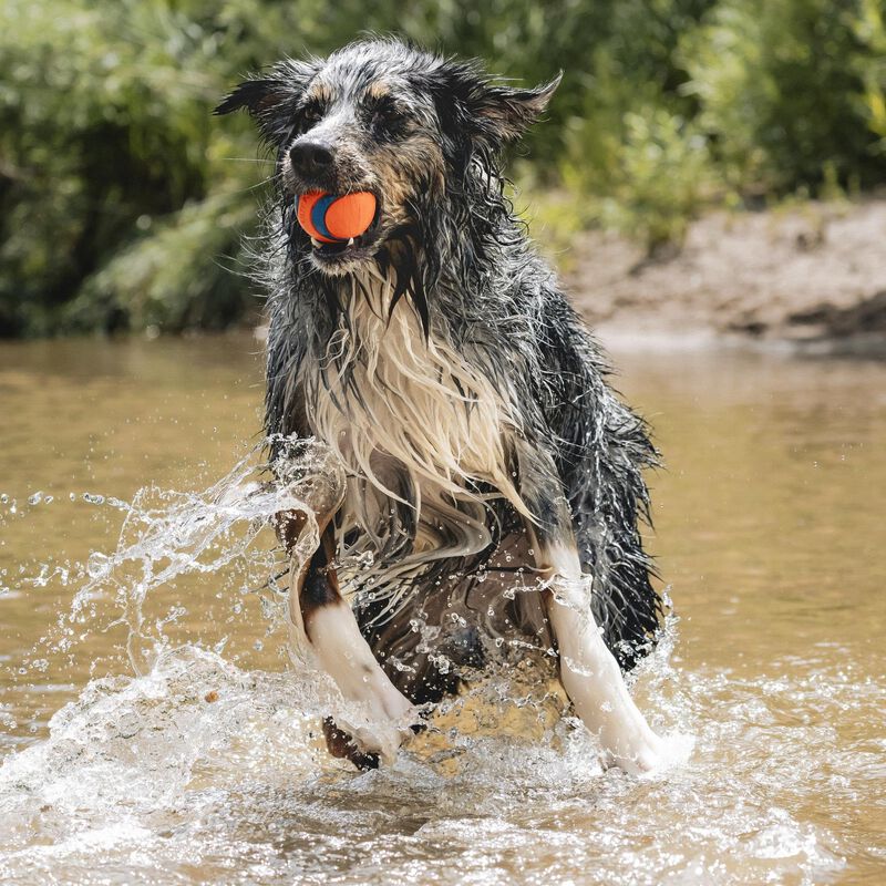 Juguete Para Perros Chuckit! Ultra Ball, Tama&ntilde;o... image number null