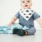 Set De Baberos  Bandana Wild