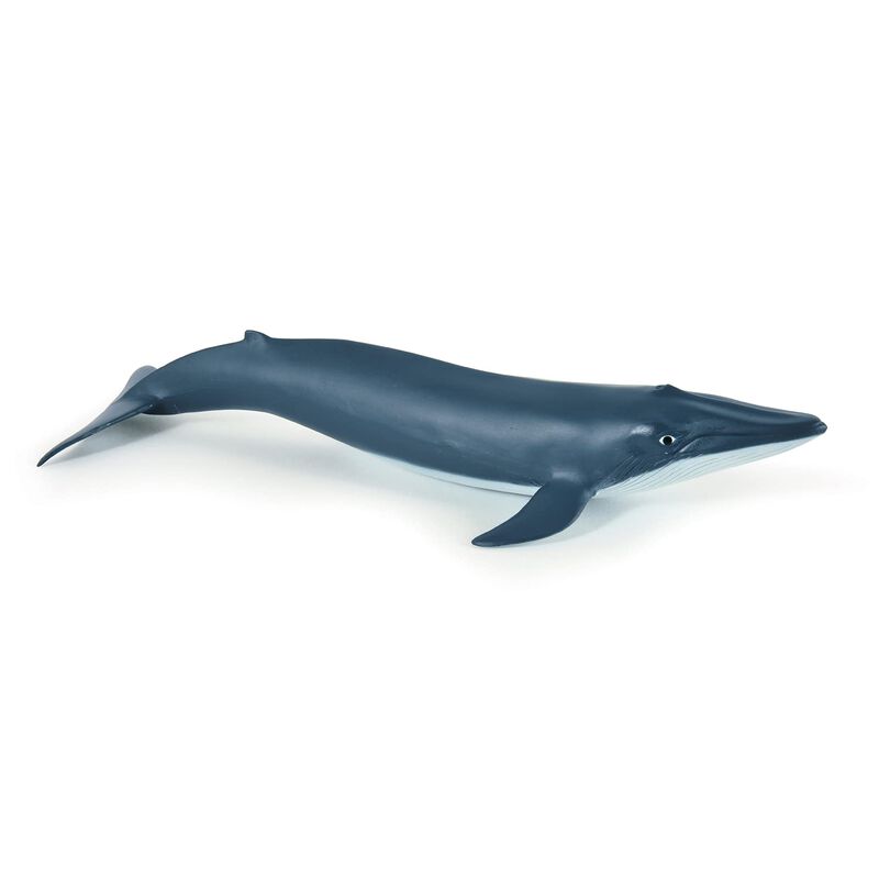 Figura Papo Marine Life Blue Whale Calf 56041 P... image number null