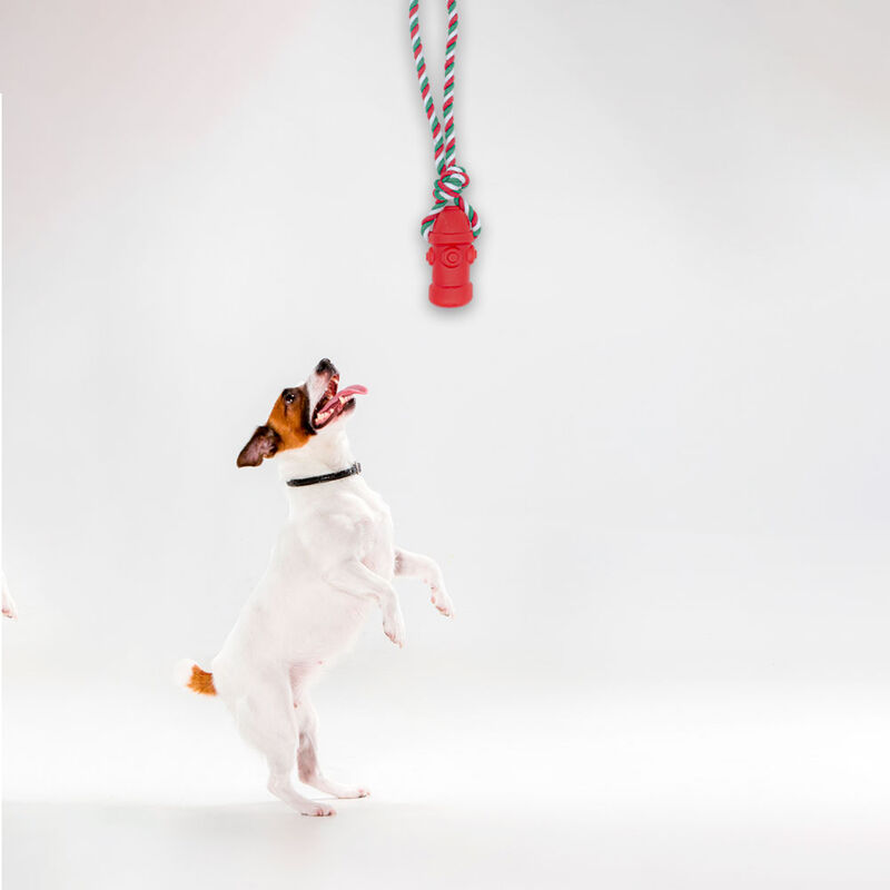 Juguetes para Mascotas Cordones Hidrantes Chill... image number null