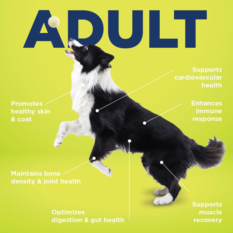 Suplemento Para Perros Vetericyn All-in 1 Multi... image number null
