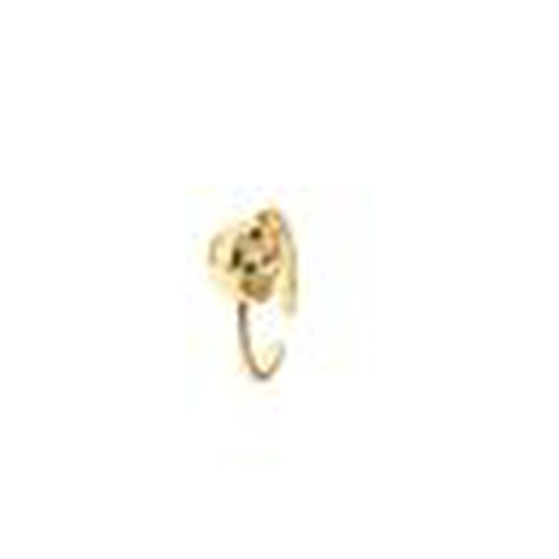 Anillo oso liso image number null