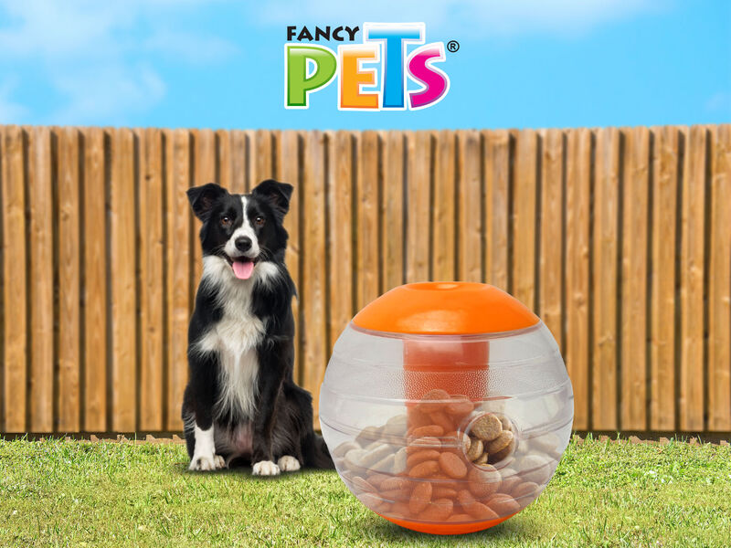 Fancy Pets Pelota para Premios con Sonido Para ... image number null