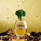 Perfume Gres Cabotine 100Ml