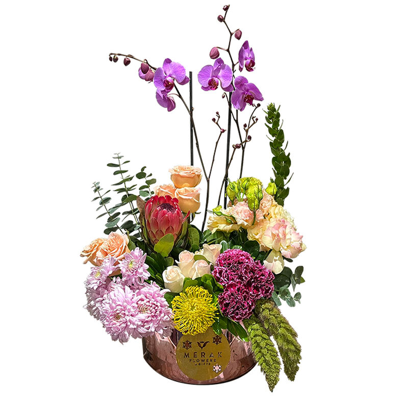 Amor Supremo image number null