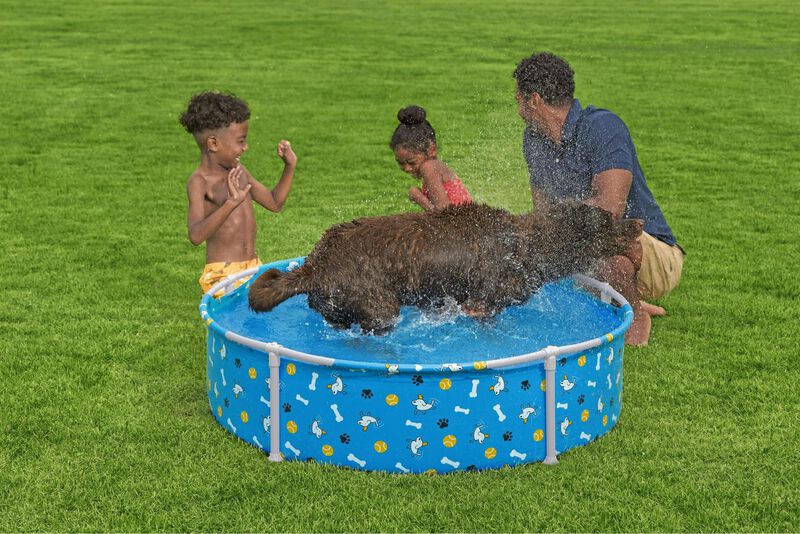 Alberca para mascotas, piscina estructural Best... image number null