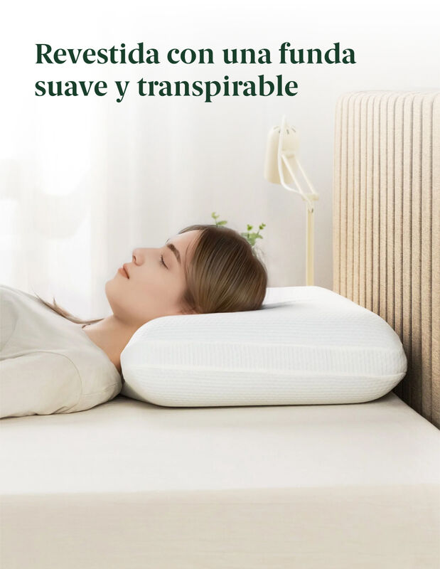 Zinus |  Almohada Memory Foam Frescura Y Firmez... image number null