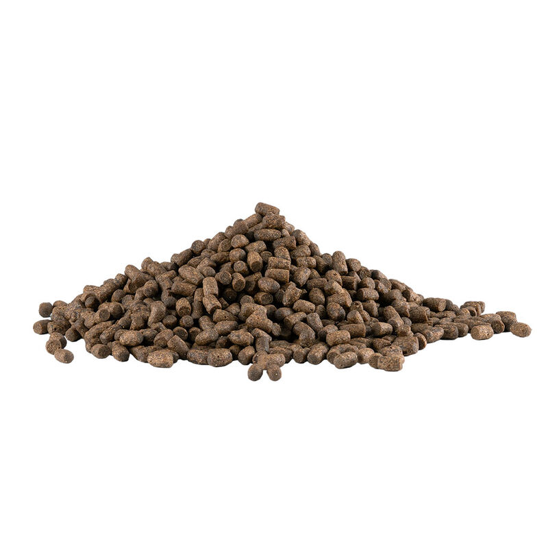 RedKite Alimento Premium Hecho con Carne de Pol... image number null