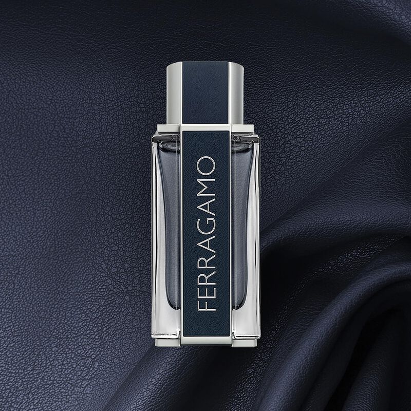 Perfume Ferragamo Eau De Toilette Pour Homme 10... image number null