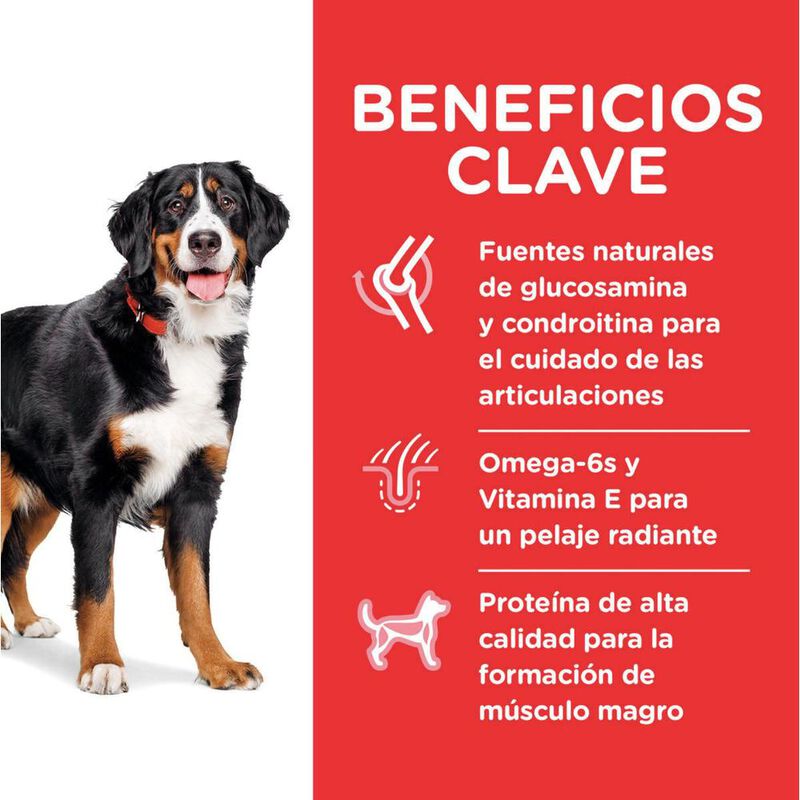 Hill's Canino Adult Large 15 Kg 1 Unid X Caja m... image number null