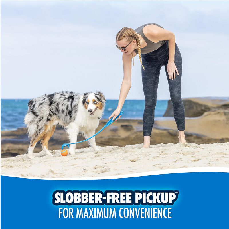 Lanzador De Pelotas Para Perro Chuckit! 66 cm C... image number null