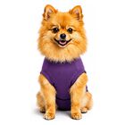 Traje De Recuperaci&oacute;n Para Perro Surgi~snuggly Ml (esterilizaci&oacute;n/castraci&oacute;n)