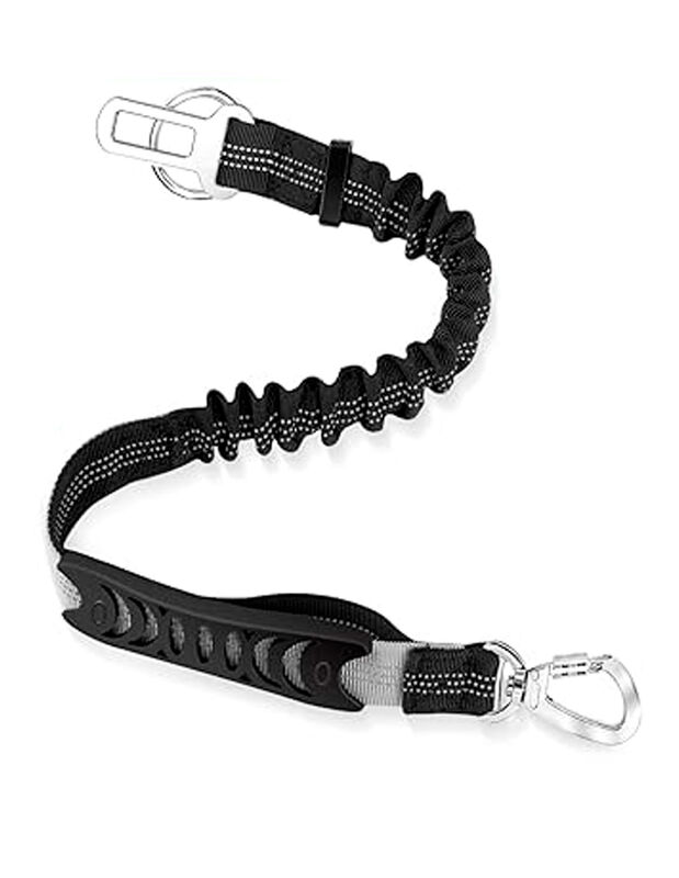 Doggy Run image number null